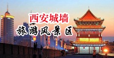 插bb在线中国陕西-西安城墙旅游风景区